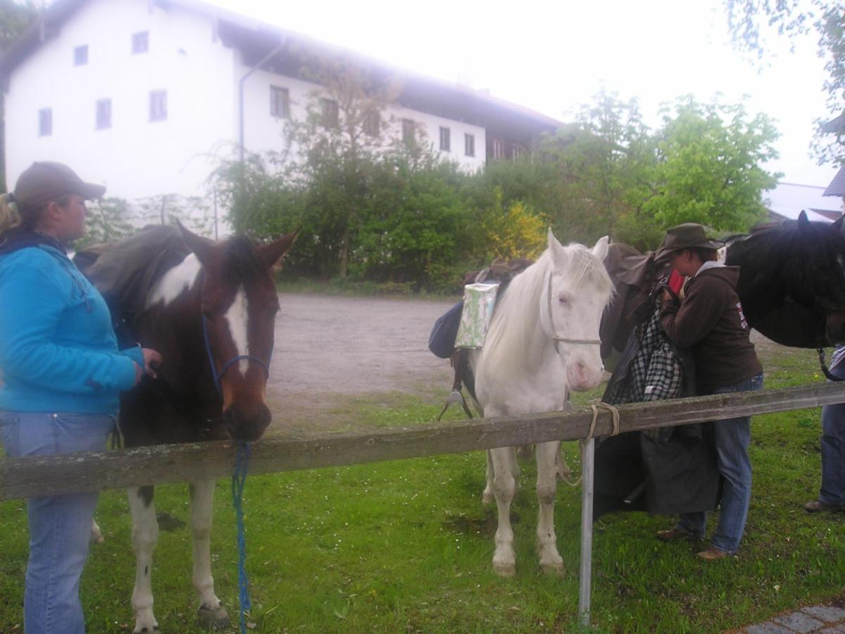 Gasthaus Zum Spaeth Englmannsberg Dış mekan fotoğraf